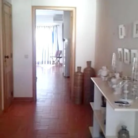 Rua Miguel Torga *